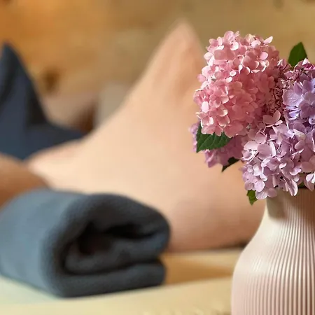 Haus Erika Apartmán *